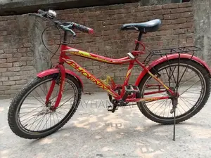 ফিনিক্স সাইকেল