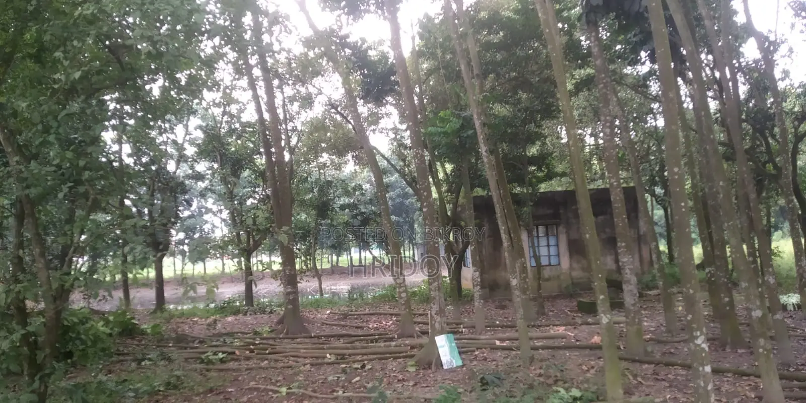 জমি সহ পুকুর বিক্রি হবে গাজীপুর সাব রেজিস্টার অফিসের পিছনে