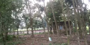 জমি সহ পুকুর বিক্রি হবে গাজীপুর সাব রেজিস্টার অফিসের পিছনে
