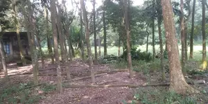 জমি সহ পুকুর বিক্রি হবে গাজীপুর সাব রেজিস্টার অফিসের পিছনে