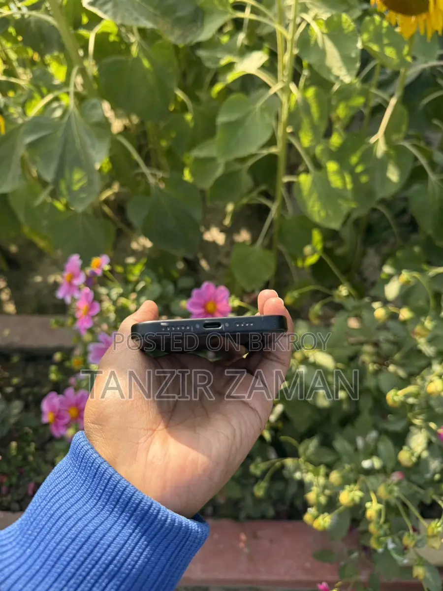 Apple iPhone 15 Plus (Used)