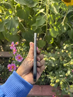 Apple iPhone 15 Plus (Used)