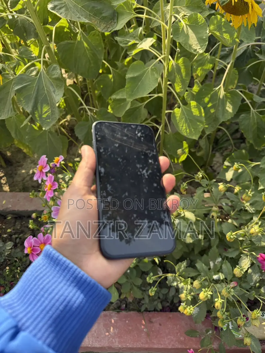 Apple iPhone 15 Plus (Used)