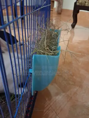 Rabbits Hay Rack