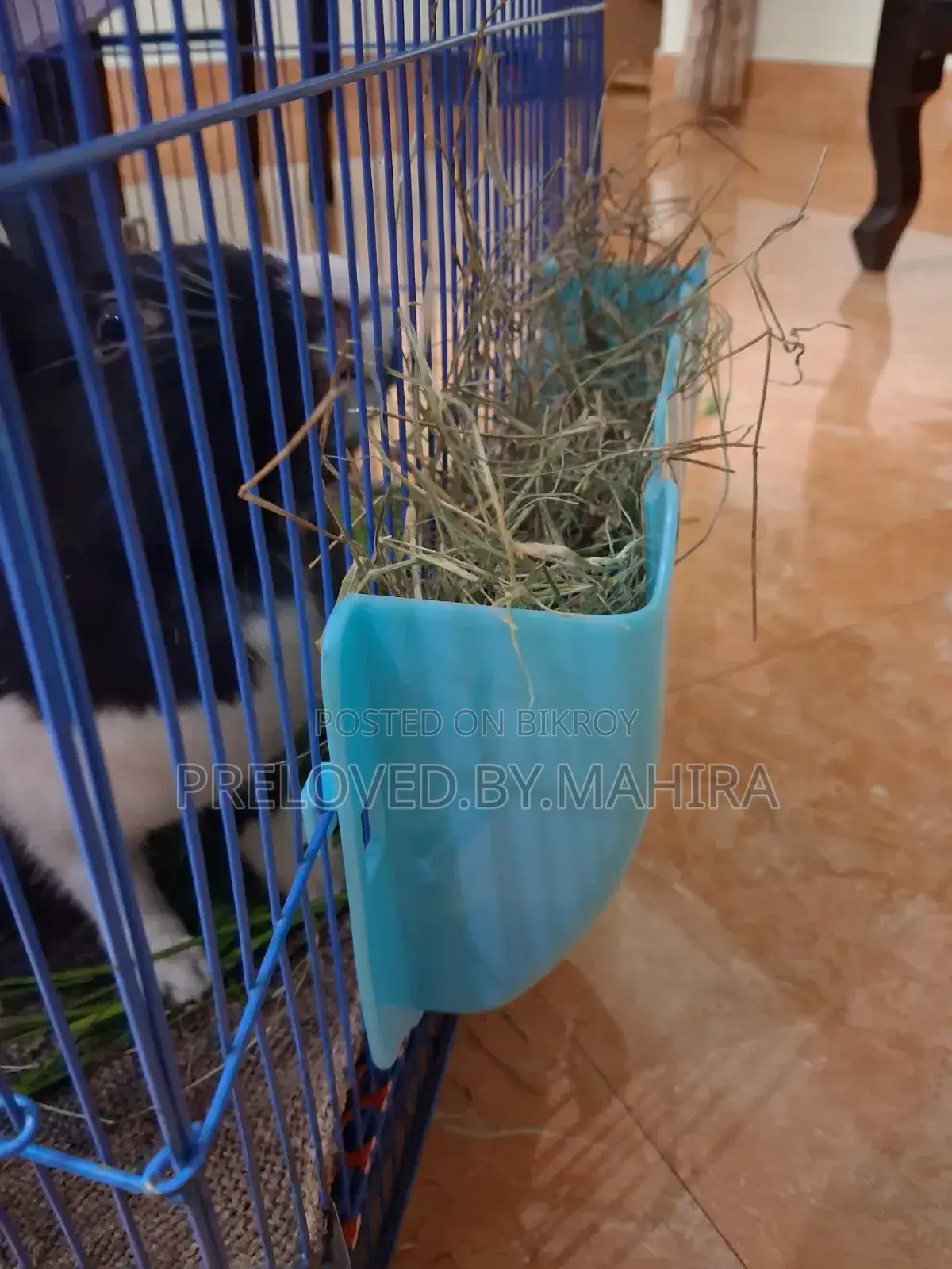 Rabbits Hay Rack