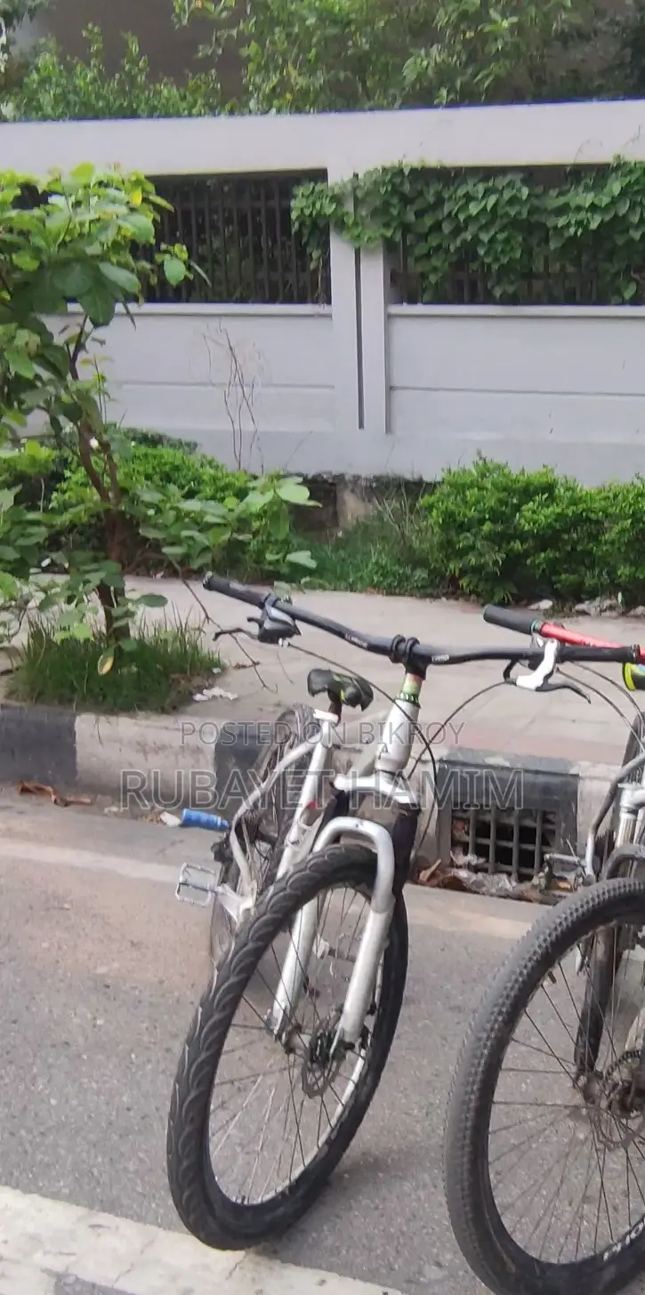 Modified Stand Cycle