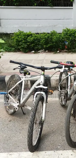 Modified Stand Cycle