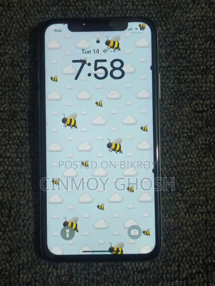 অ্যাপল আইফোন এক্সএস (ব্যবহৃত)