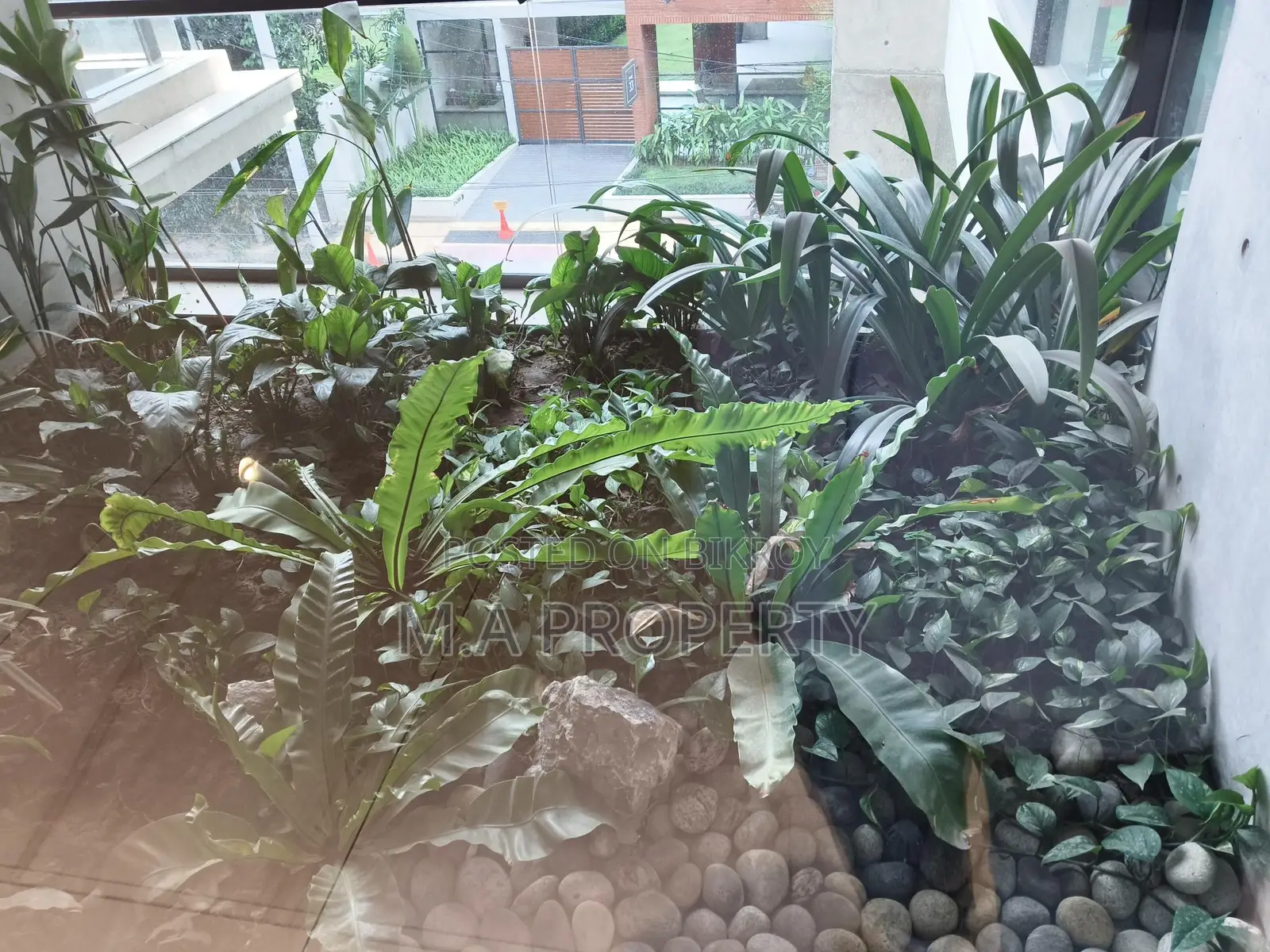 Rent 4-Bed Apartment 4500sqft 2-Carpark Gulshan North