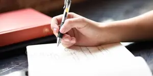 THESIS/PROJECT GUIDANCE AVAILABLE