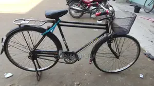 China Phoenix Bicycle