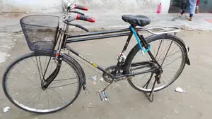 China Phoenix Bicycle