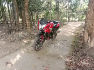 Bajaj Pulsar 150 . 2022