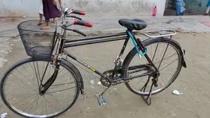 China Phoenix Bicycle