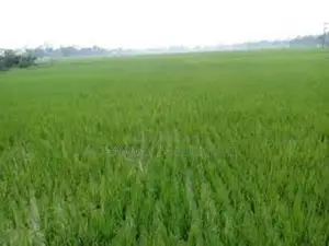 Land for sale with all legal documents.