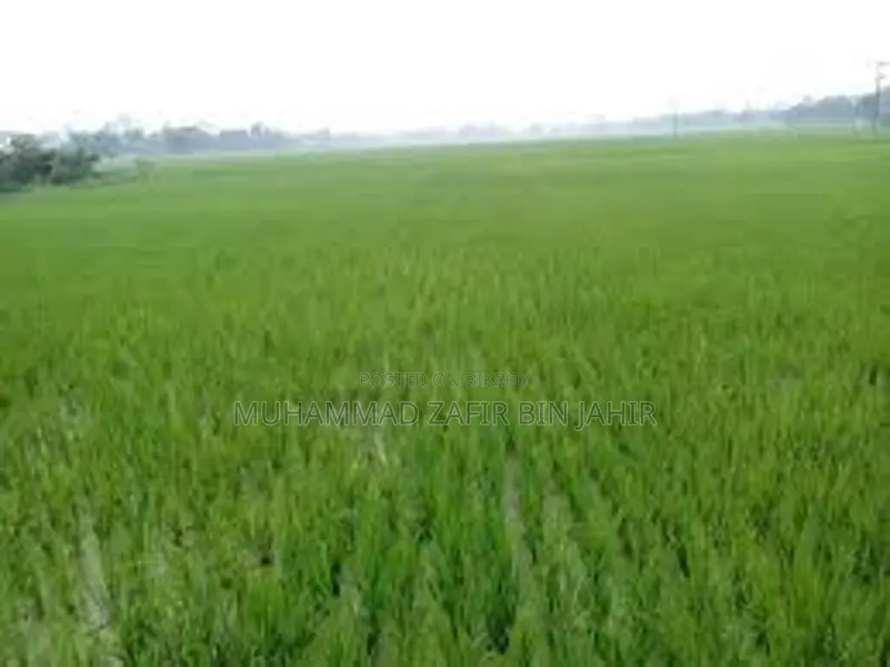 Land for sale with all legal documents.
