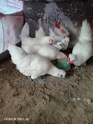Sonali Chicken