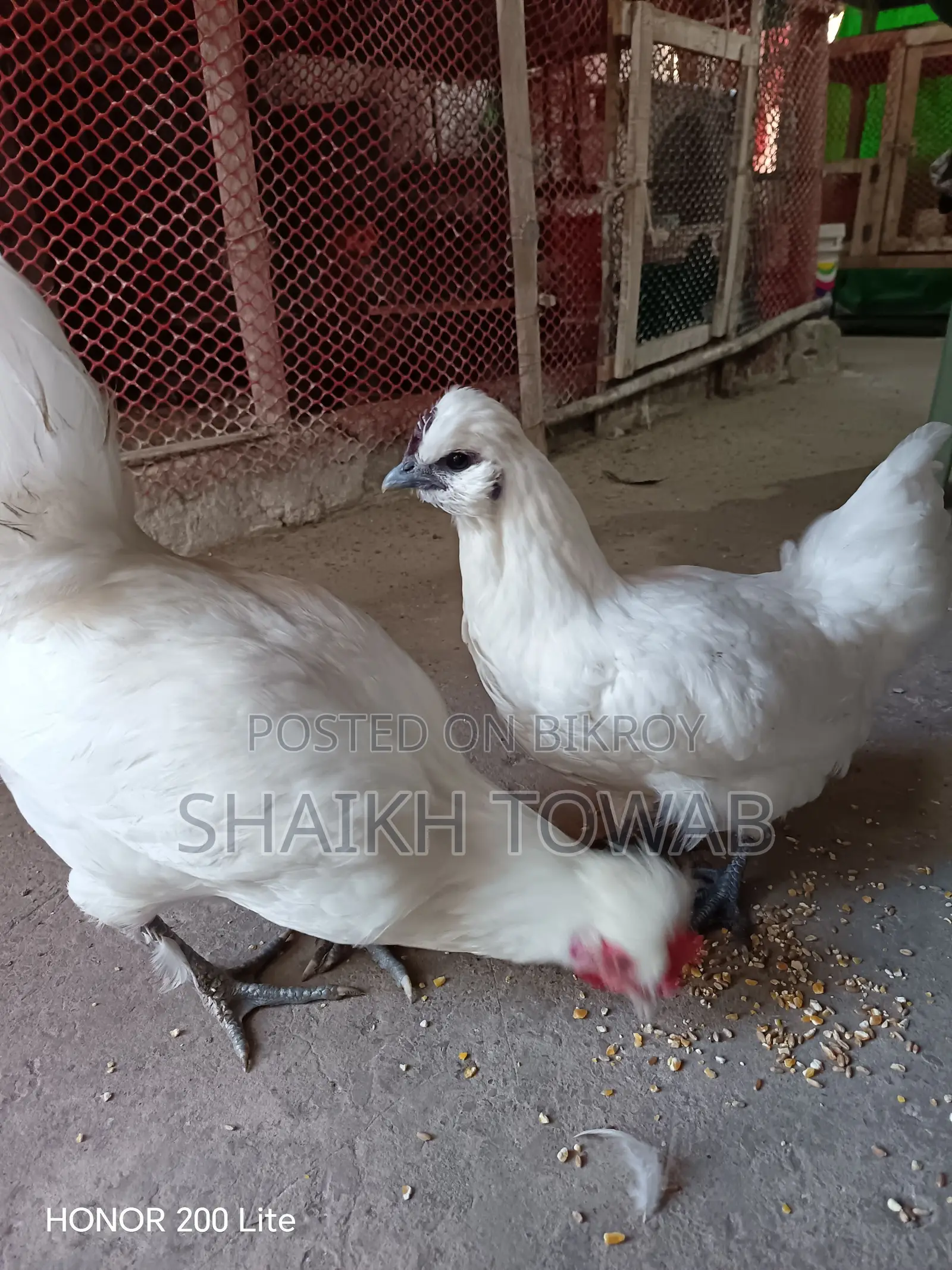 Sonali Chicken