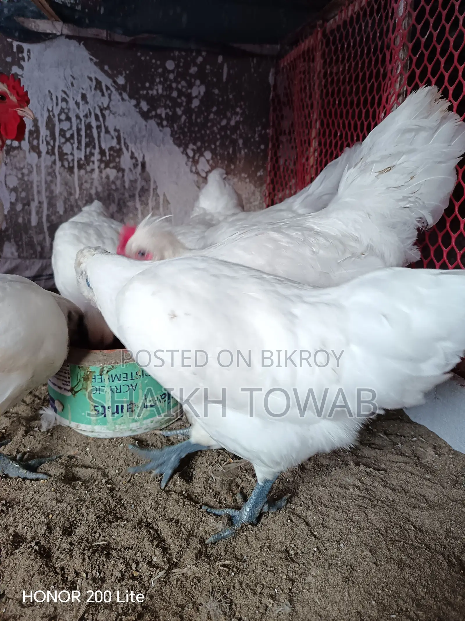 Sonali Chicken