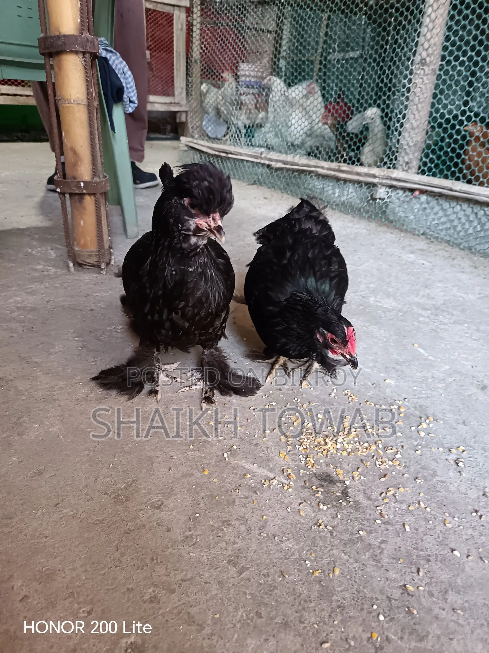 Sonali Chicken