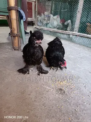 Sonali Chicken
