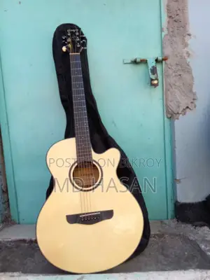 Emeryla L-720a Guitar
