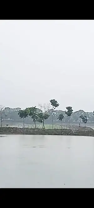 এগ্রো ফার্ম ও সম্পত্তি বিক্রয়
