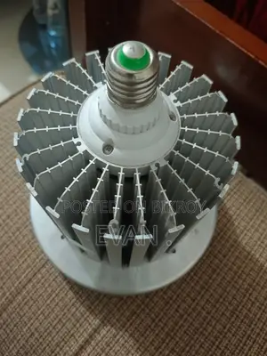 100 Watt Light Bulb for Commercial Purposes