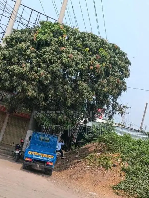 বাড়ি করার উপযোগী
