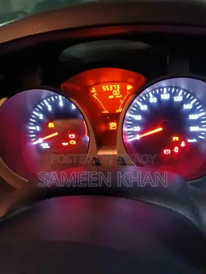 নিসান জুক ২০১১ রেড