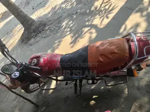 হিরো স্প্লেন্ডার ১১০ ২০০৮ রেড