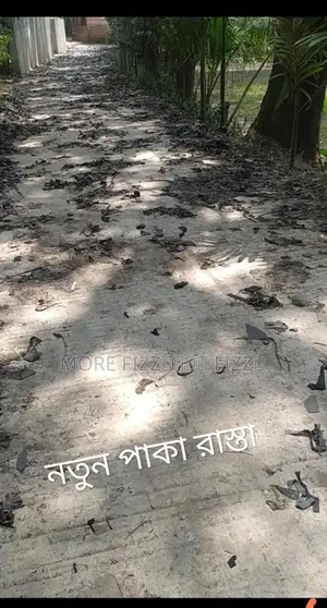 বাড়ি বিক্রি প্যাকেজ মূল্য রাস্তা ফ্রি।।
