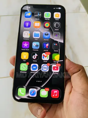 Apple iPhone 12 Pro Max (Used)