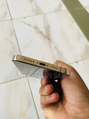 Apple iPhone 12 Pro Max (Used)