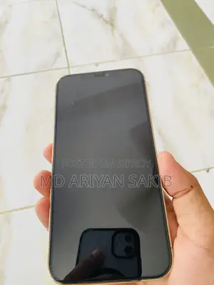 Apple iPhone 12 Pro Max (Used)