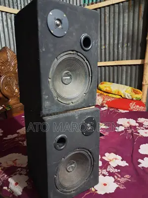 Two 10-inch speakers and machine