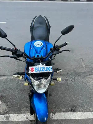Suzuki GSX 2019