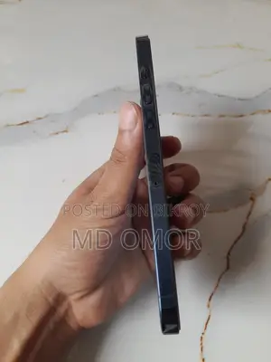 Apple iPhone 12 Pro Max (Used)