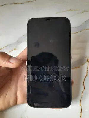 Apple iPhone 12 Pro Max (Used)