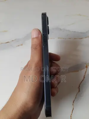 Apple iPhone 12 Pro Max (Used)