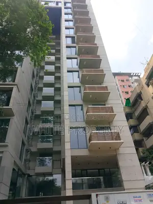 Brand New Apartment Sale at Dhanmondi 15A