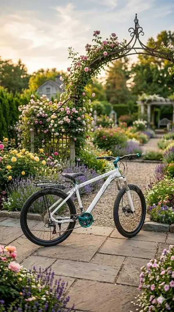 Phoenix Bicycle for Sale