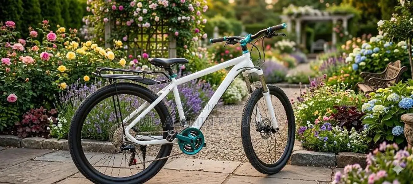 Phoenix Bicycle for Sale
