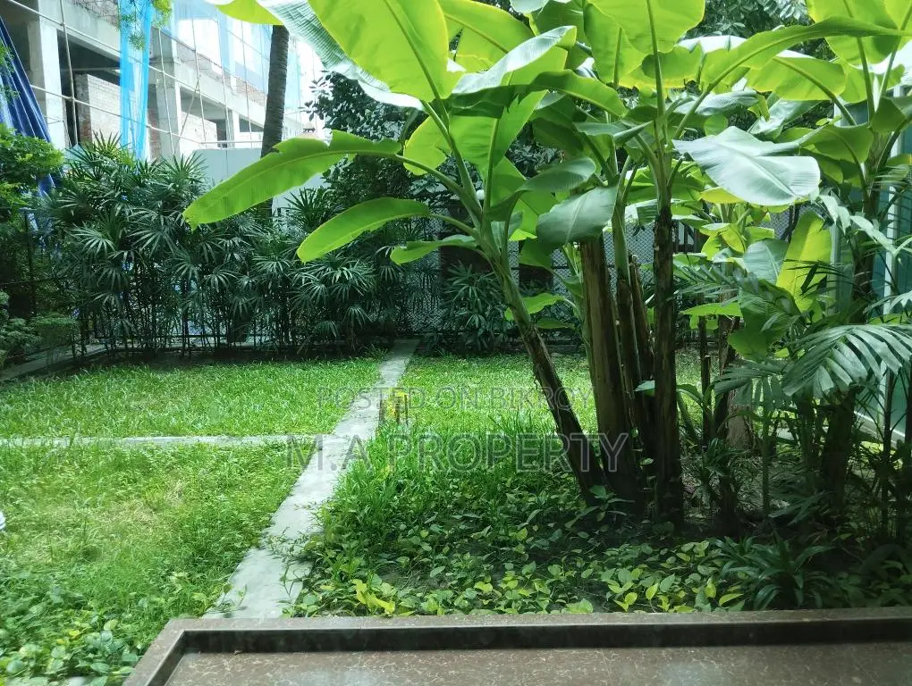 নতুন ৪ বেড ৩৫০০ বর্গফুট সেমি-ফার্নিশড পুল ও জিমসহ ফ্ল্যাট ভাড়া, বারিধারা ডিপ্লোম্যাটিক জোন