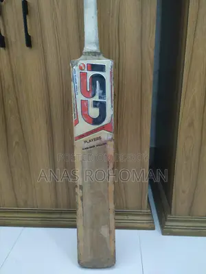 GSI BRAND CRICKET BAT