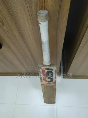 GSI BRAND CRICKET BAT
