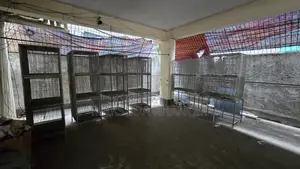 পাখির খাঁচা