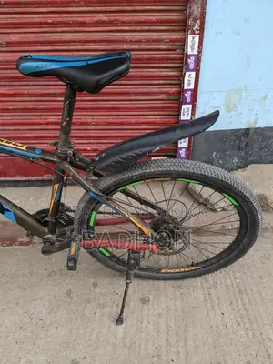 Phoenix Cycle