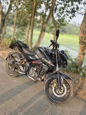Bajaj Pulsar NS 160 2019