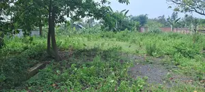 পূর্বাচলে বিক্রয়ের জন্য সর্বনিম্ন বাজেটের ৩ কাঠার প্লট